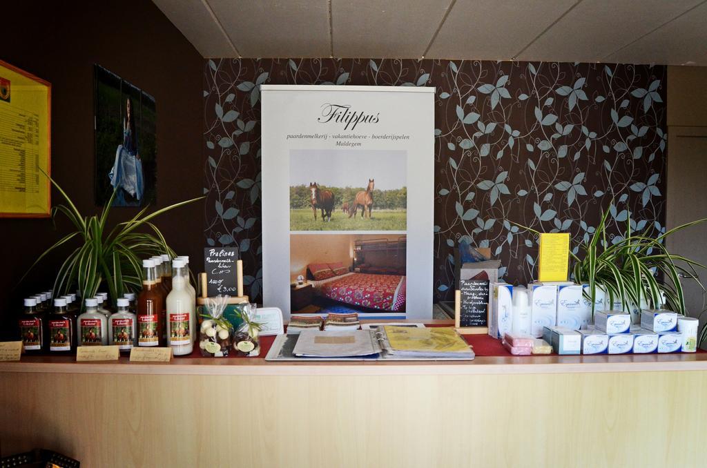 Filippus Vakantiehoeve Maldegem Extérieur photo